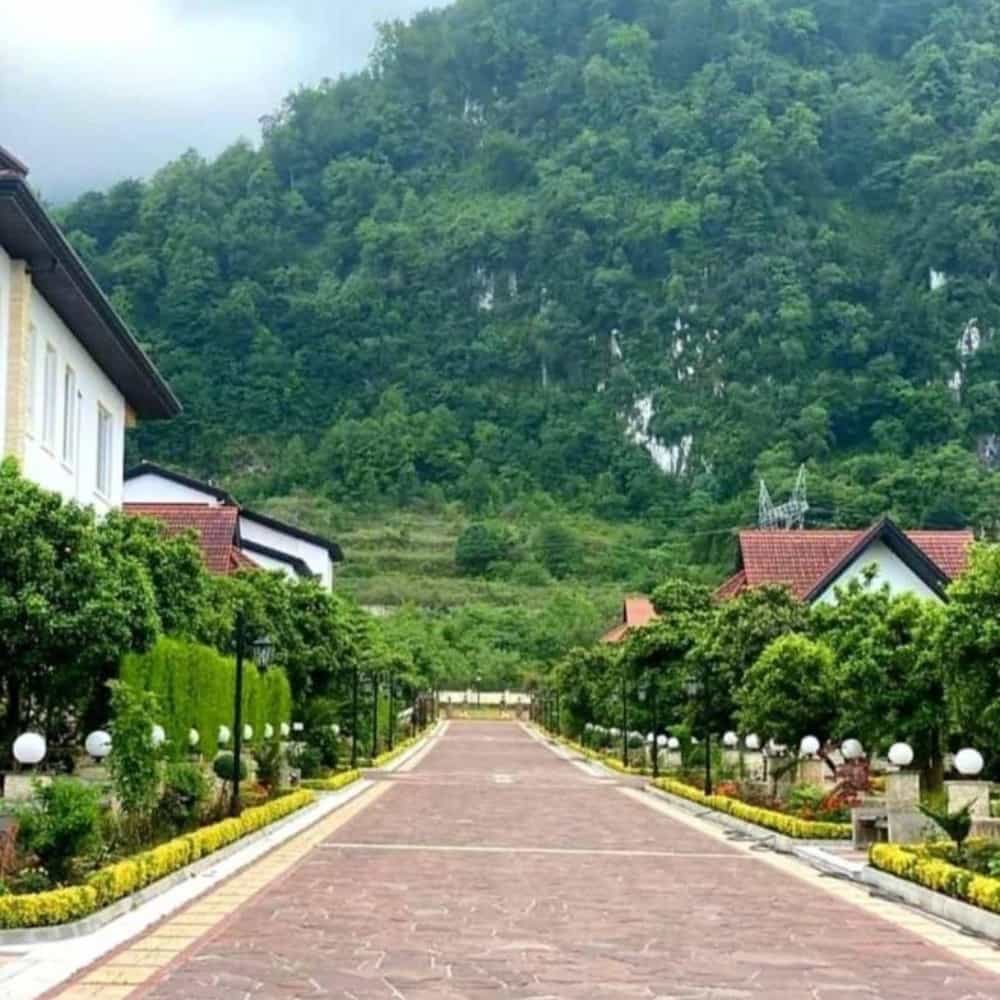 1754901490864.webp